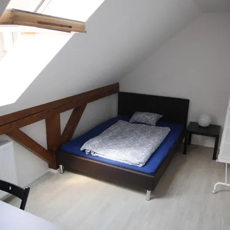 Spacious Luxury In The Centre Apartamento Plzeň